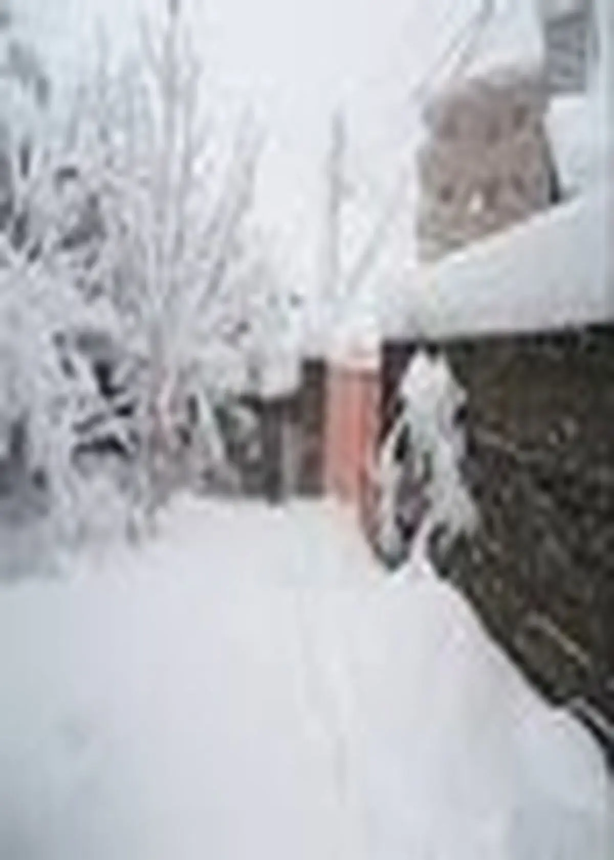 آغاز بررسی خسارات سرما و برف در مناطق غربی مازندران