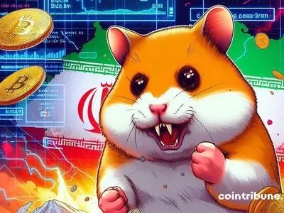 کوه همستر کامبت، موش زایید/ اگر همستر واقعی پرورش می‌دادیم بیشتر سود می‌کردیم!