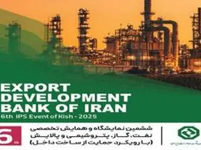 بررسی راهکارهای تأمین مالی صنعت نفت، گاز و پتروشیمی در پنل تخصصی بانک توسعه صادرات ایران