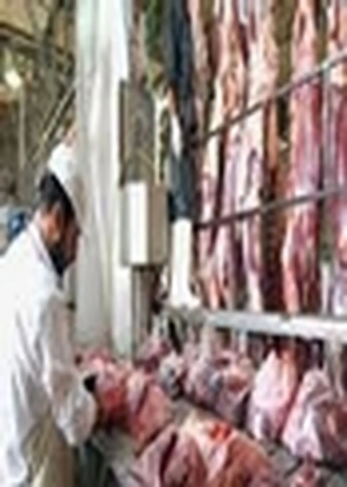 صادرات روزانه ۴۰تن انواع فرآورده گوشتی از گلپایگان به نقاط مختلف کشور