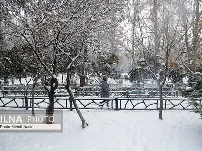 دمای کنگاور در استان کرمانشاه به منفی 20 درجه رسید