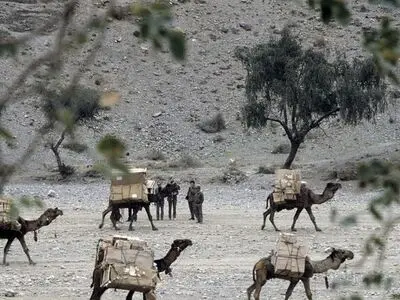 غرب مانع توقف تولید مواد مخدر در افغانستان است