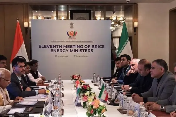 وزير النفط الإيراني یناقش مع نظيره الهندي سبل تعزيز التعاون الثنائي