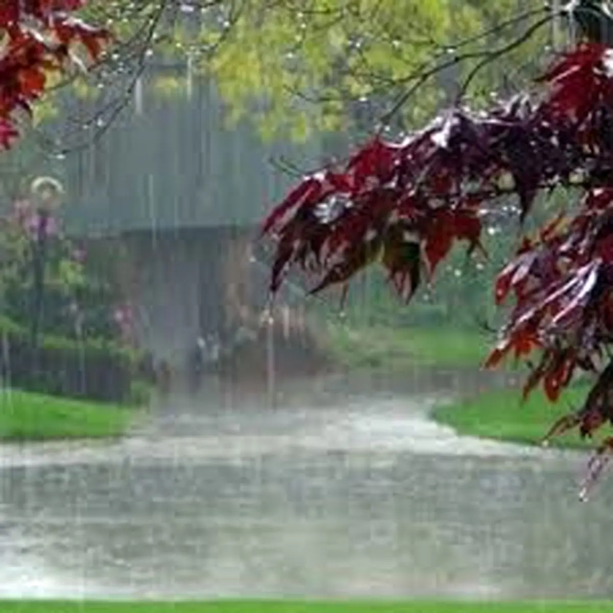 تداوم بارش‌های پراکنده بهاری در مازندران