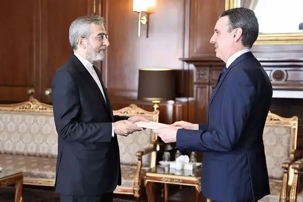 New Spain envoy meets acting Iran FM