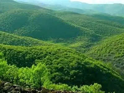 ۴۶۰ هزار هکتار از عرصه‌های طبیعی تحت مدیریت مدیریت اداره کل داستان قرار دارد