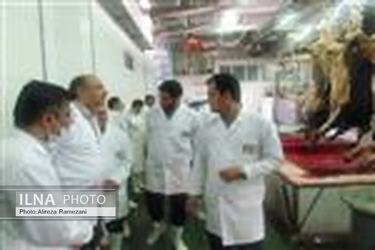 کشتارگاه‌های سنتی دام در استان کردستان تعطیل می‌شوند