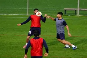 اسماعیلی‌فر: امسال انتظار از تیم ملی بالاست