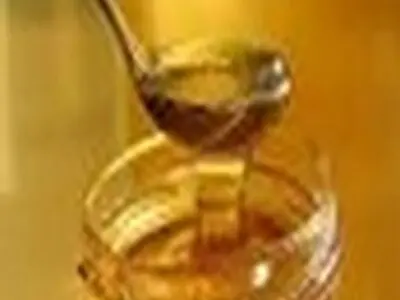 تولید سالانه بیش از ۱۶۲ تن عسل در زنبورستان های شهرستان ساری