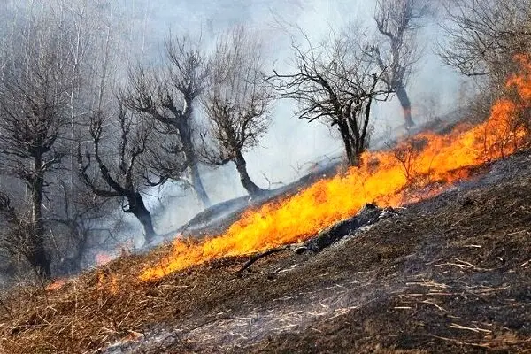 خسارت آتش سوزی به ۵ هکتار از مراتع پاوه در منطقه بوزین و مرخیل