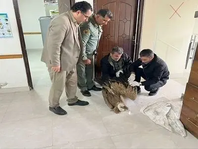 تیمارداری ۴۰ پرنده وحشی در آستارا

