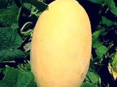 asdasd