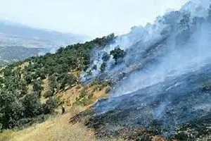 شعله‌ور شدن مجدد آتش‌سوزی در ارتفاعات دزپارت/اعزام اکیپ‌های کمکی و درخواست بالگرد + فیلم 