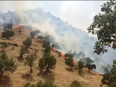  آتش سوزی در ارتفاعات منطقه حفاظت شده سفیدکوه خرم آباد