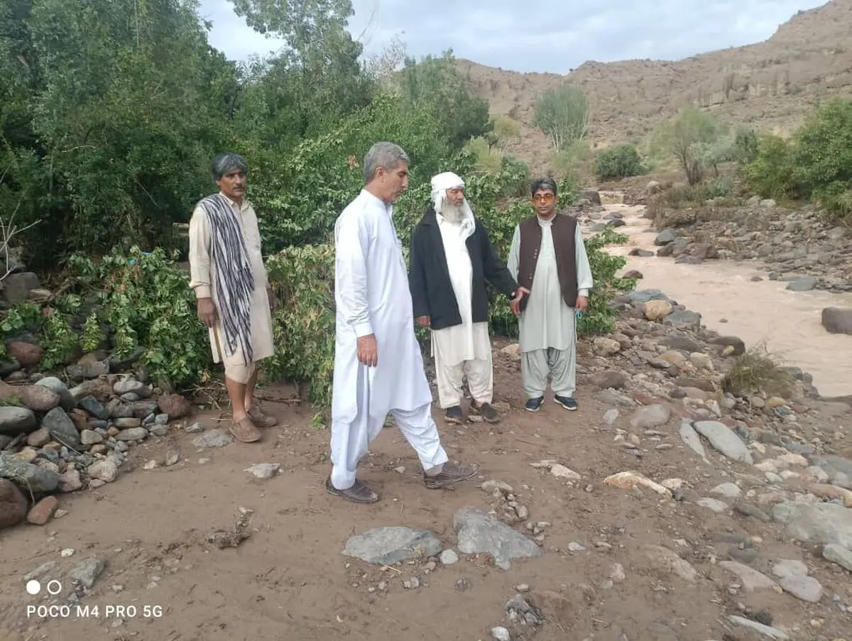 خسارت ٣۵ میلیارد تومانی بارندگی به بخش کشاورزی تفتان