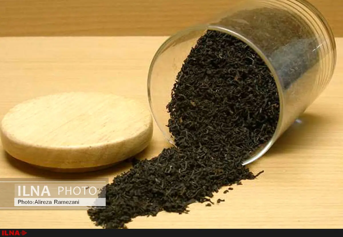 افزایش 400 درصدی قیمت چای 