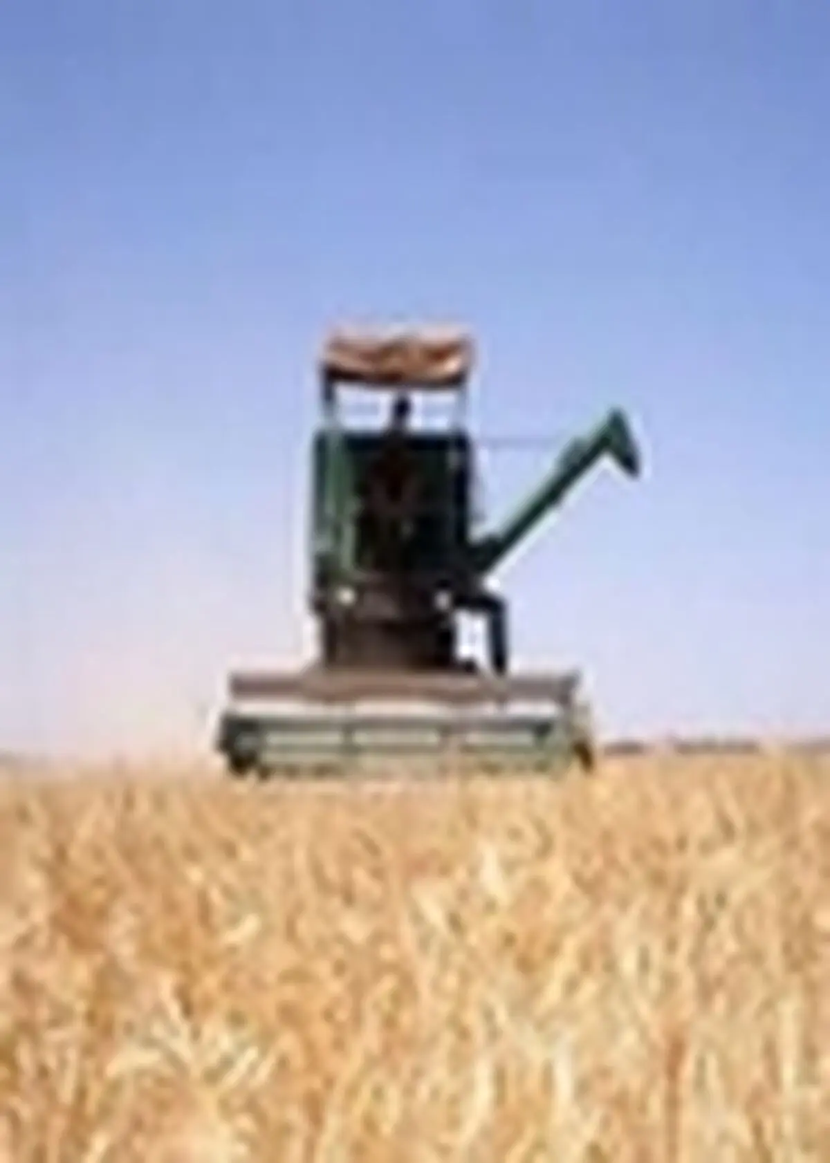 حواله سوخت گازوییل میان کشاورزان فومنی توزیع می شود