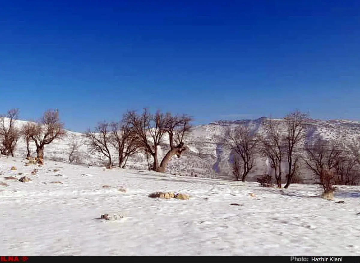 گزارش تصویری از بارش برف در شمال خوزستان