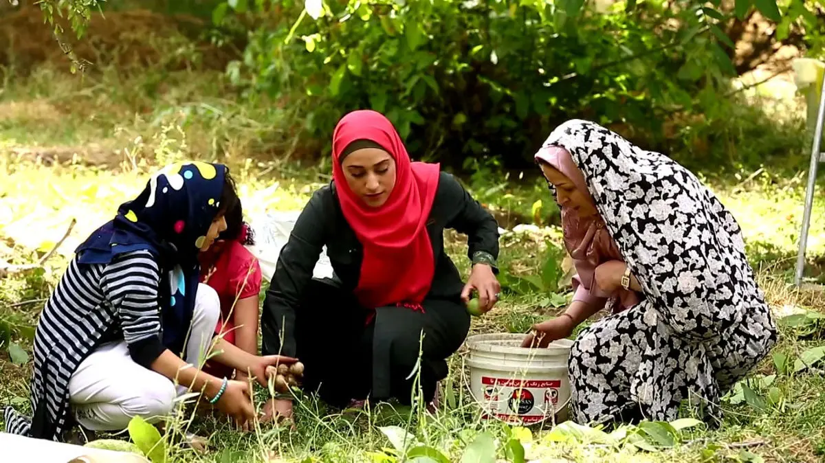 «شهر جهانی گردو»؛  مستند جدید العالم