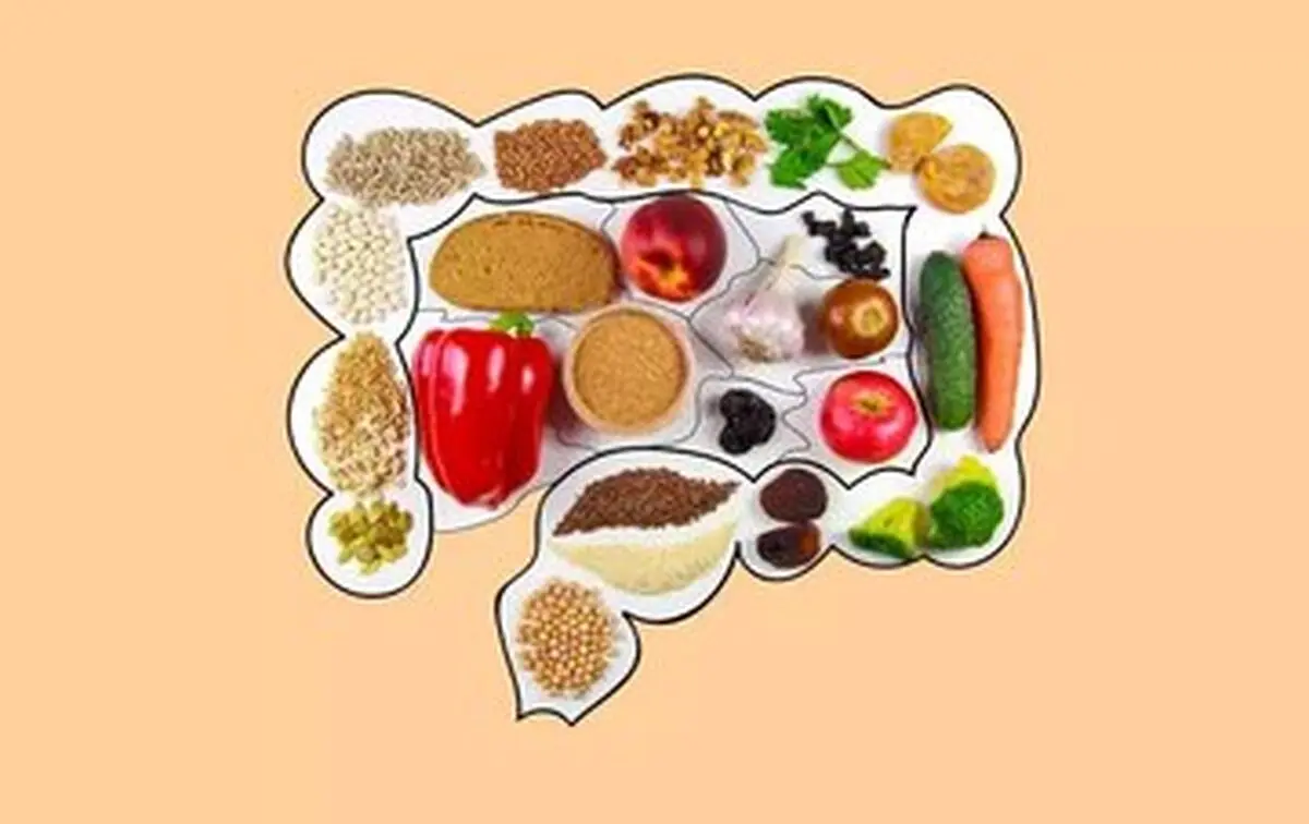 تأثیر رژیم غذایی پرچرب بر سلامت سیستم ایمنی روده