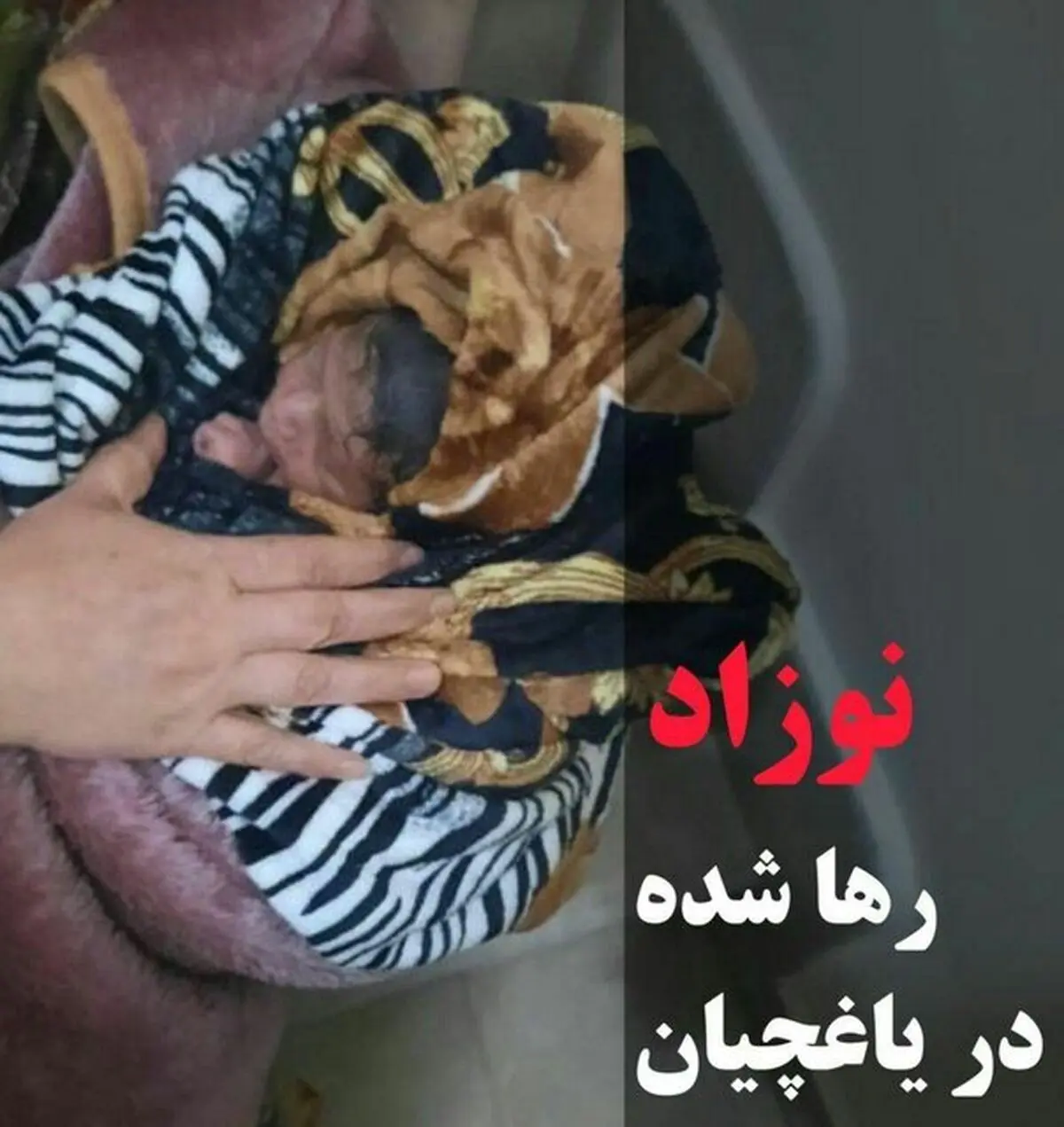 نوزاد رهاشده در یاغچیان‌تبریز در سلامت کامل است/ انتخاب نام سجاد برای نوزاد