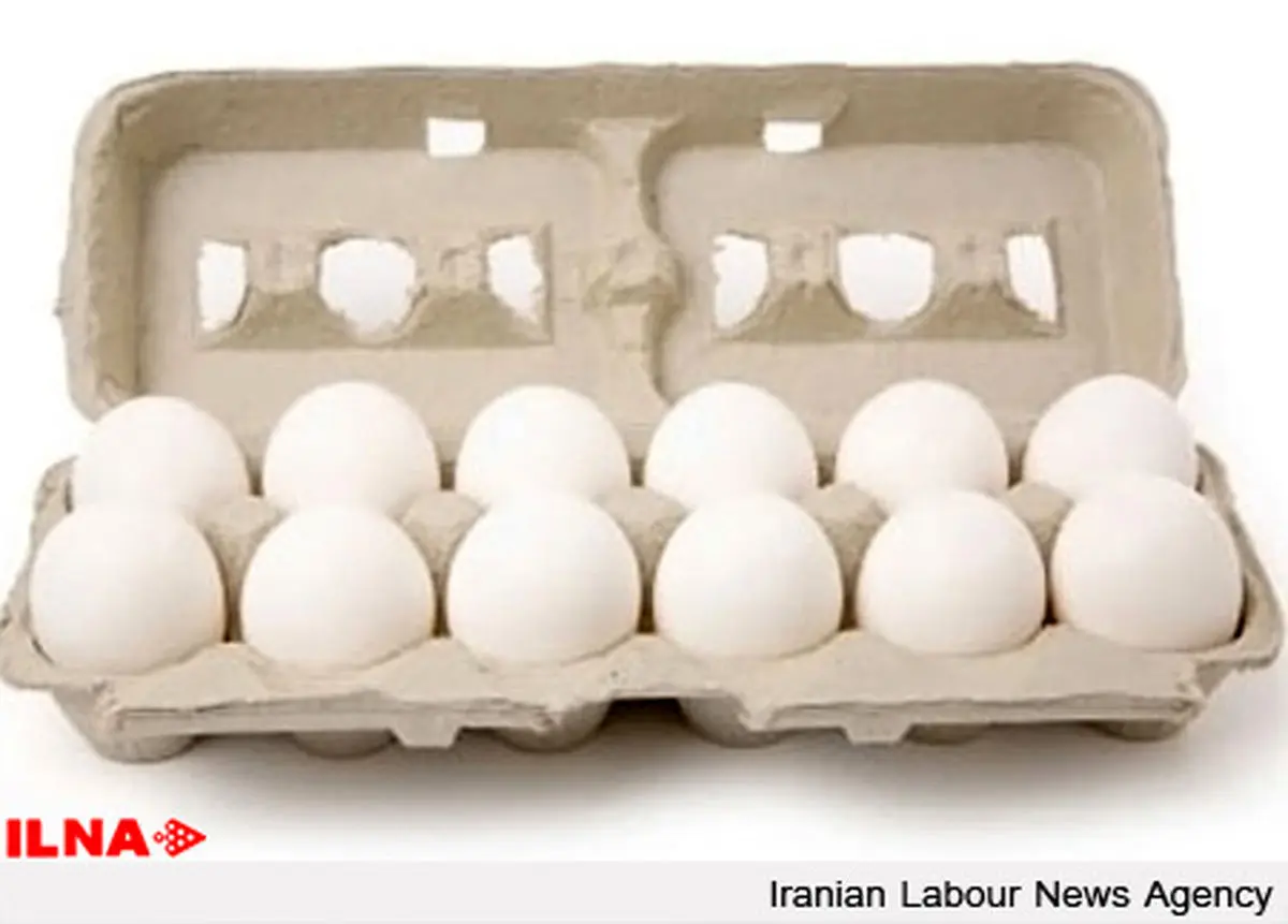سهم ۵۰ میلیاردی تخم مرغ را پرتقال خورد!
