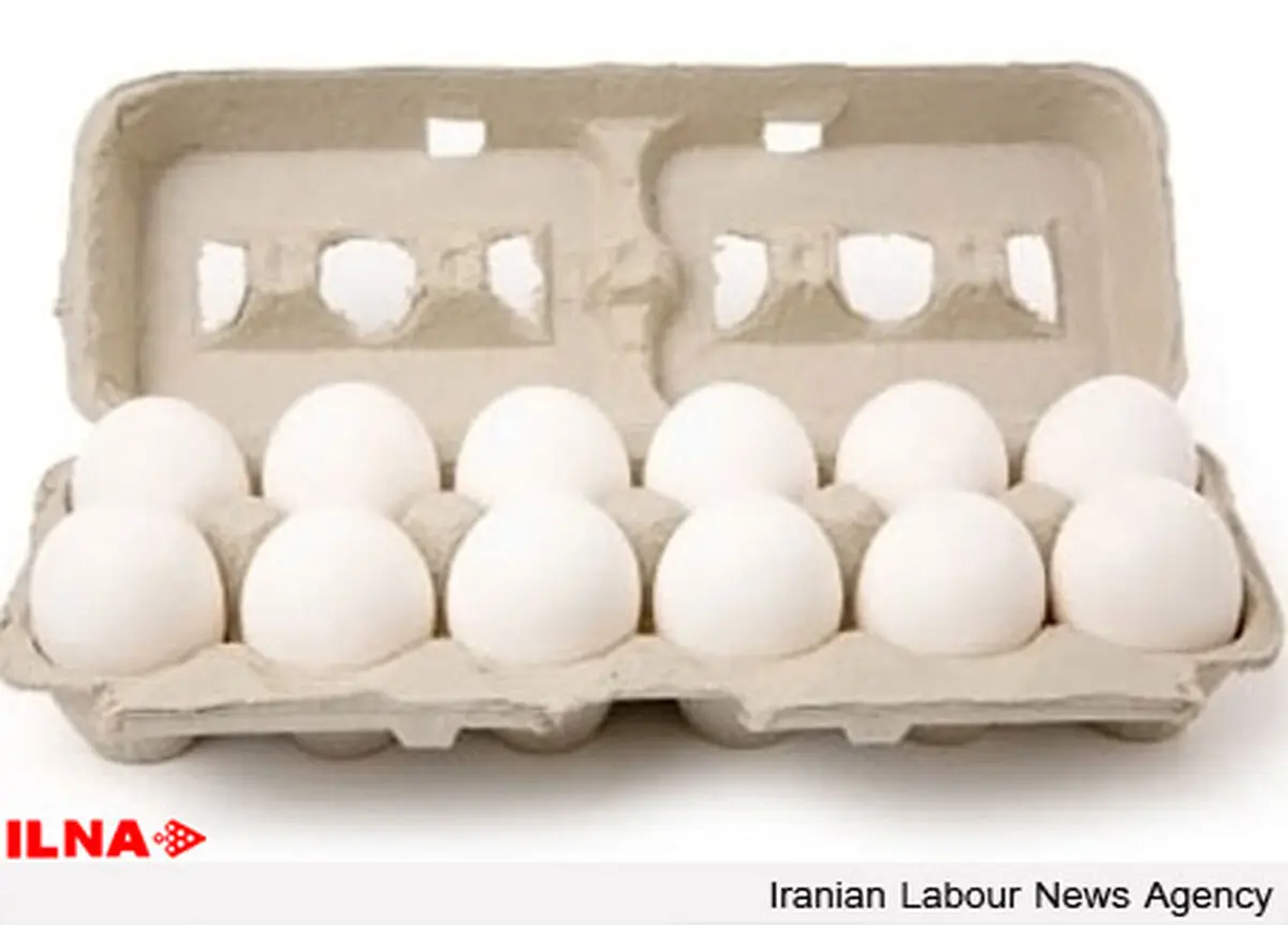 سهم ۵۰ میلیاردی تخم مرغ را پرتقال خورد!