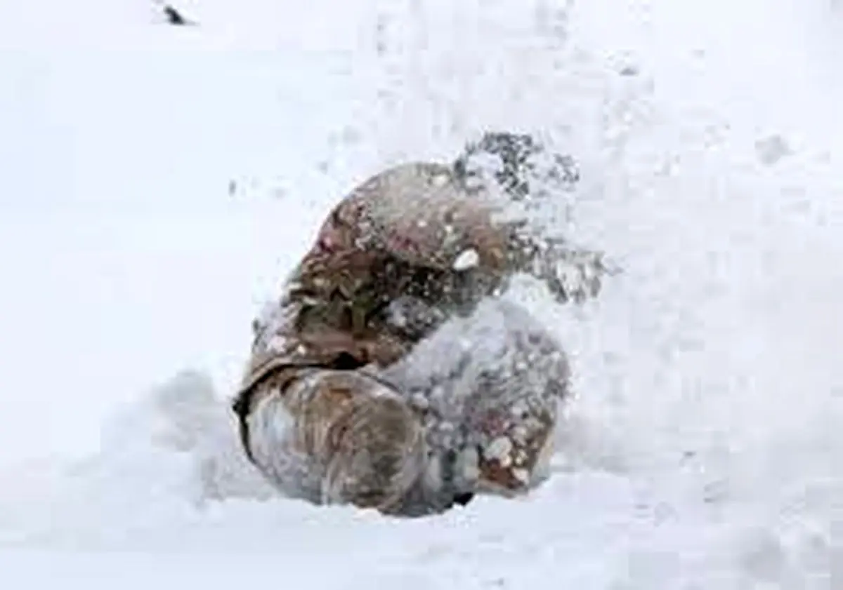 واکنش عضو کمیسیون امنیت ملی به شهادت یک مرزبان به دلیل سرمازدگی/ تجهیزات لازم برای این شرایط پیش‌بینی و تهیه شده؛ علت حادثه را پیگیری می‌کنیم