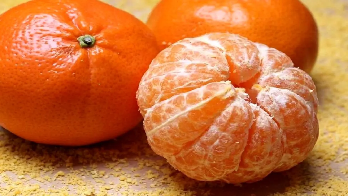 میوه کوچکی که علاج چند بیماری است