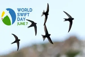 7 ژوئن روز جهانی بادخورک است