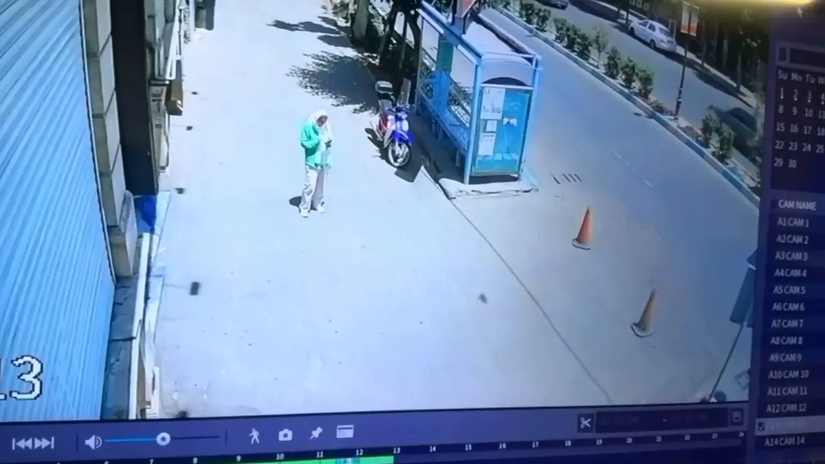 دستگیری سارقان به عنف جنوب تهران + فیلم
