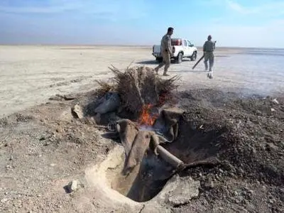 تخریب ۱۵ دامگاه صید غیرمجاز پرندگان مهاجر در تالاب بامدژ خوزستان 