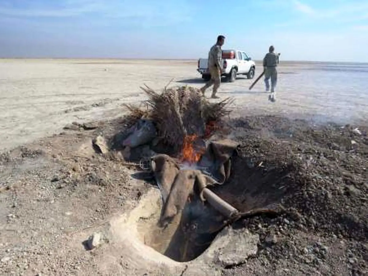 تخریب ۱۵ دامگاه صید غیرمجاز پرندگان مهاجر در تالاب بامدژ خوزستان 