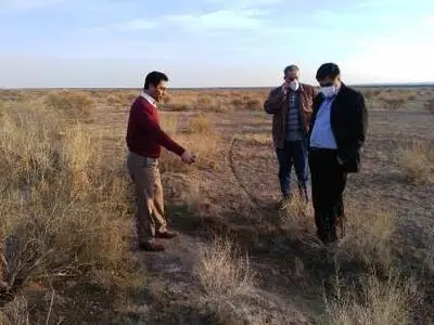 در سال جاری ۱۵۰۰ هکتار از عرصه‌های منابع طبیعی استان تهران زیر پوشش طرح‌های اصلاحی و احیایی قرار می‌گیرد
