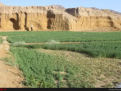 قدمت شهر طبس به عصر مفرغ می‌رسد