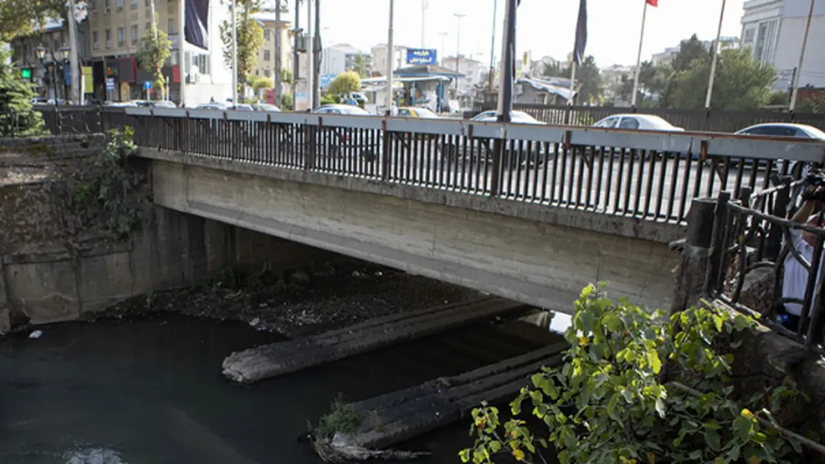 ممانعت پلیس از خودکشی یک خانم در رشت