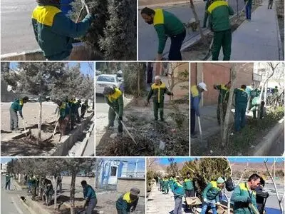 تثبیت امنیت شغلی نیروهای فضای سبز شهر اراک / تبدیل وضعیت از اشتغال موقت به نیروی تمام سال