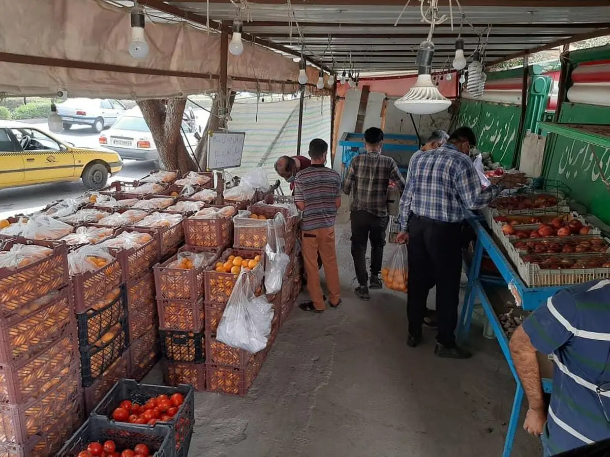 توزیع ۱۰۰تن میوه تنظیم بازار توسط تعاون روستایی هرمزگان