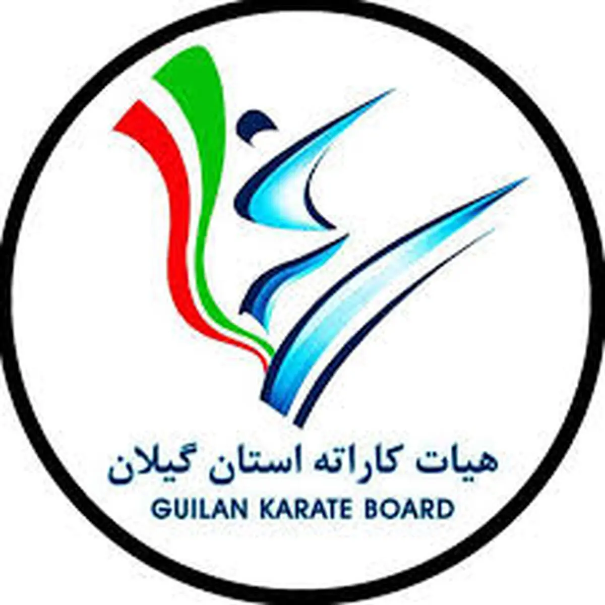 رئیس جدید هیات کاراته گیلان انتخاب شد