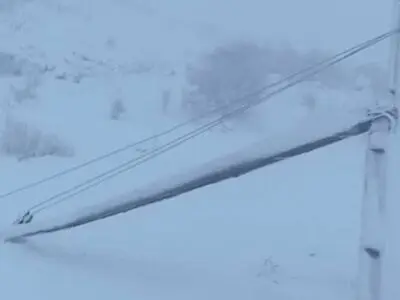 بارش شدید برف و باران موجب خسارت به شبکه برق و قطع برق ۷۵ روستای منطقه ذلقی شد.