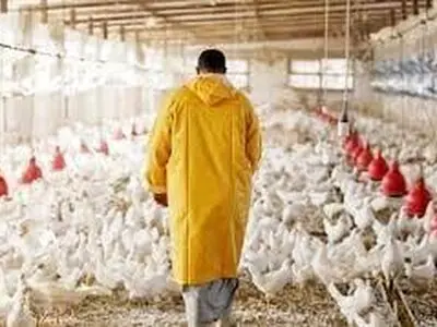 از تعطیلی ۹ واحد تولیدی در حمیدیه جلوگیری شد