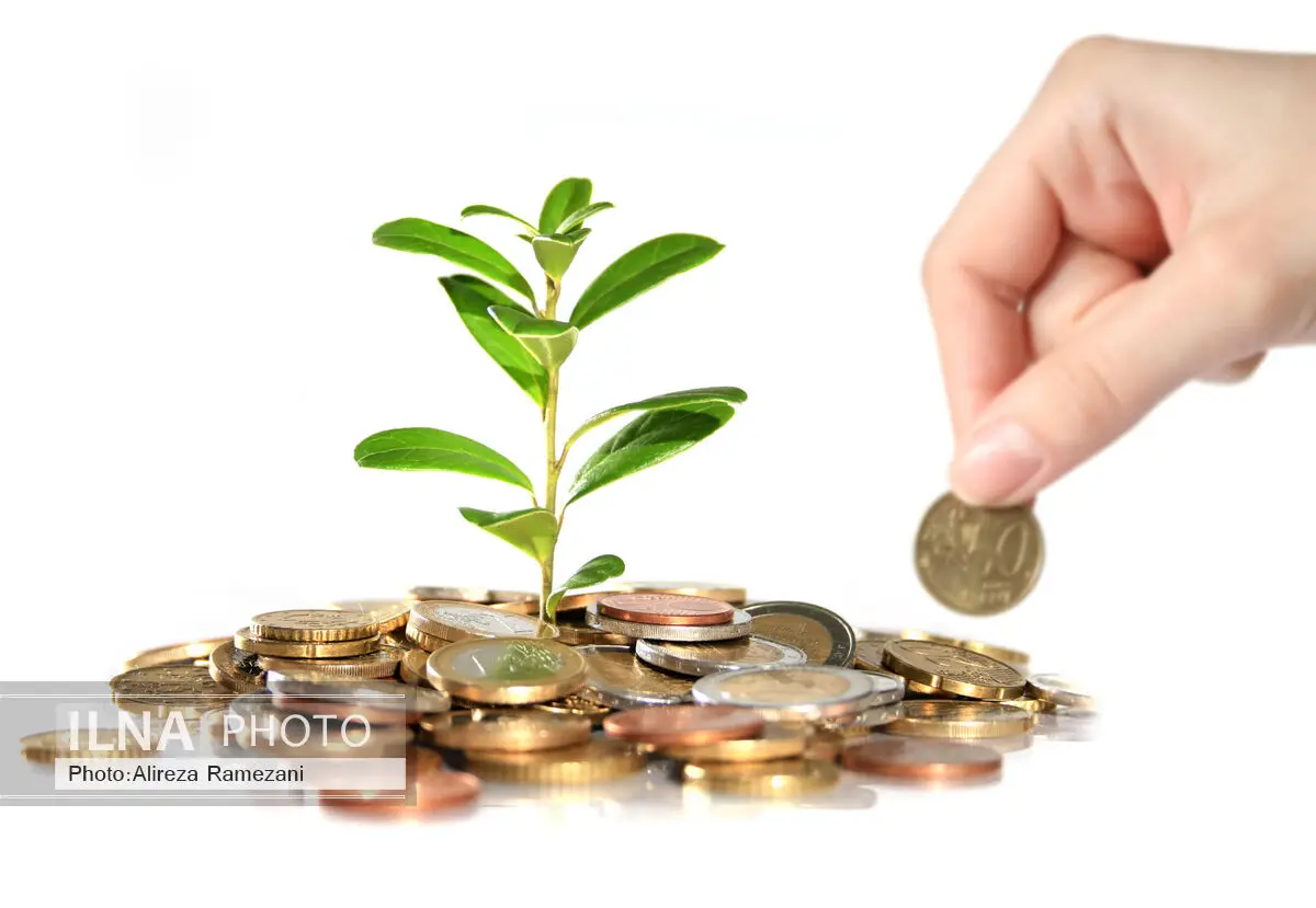 اگر فرش قرمزی برای سرمایه گذار داخلی پهن نکنیم از سرمایه گذار خارجی خبری نیست
