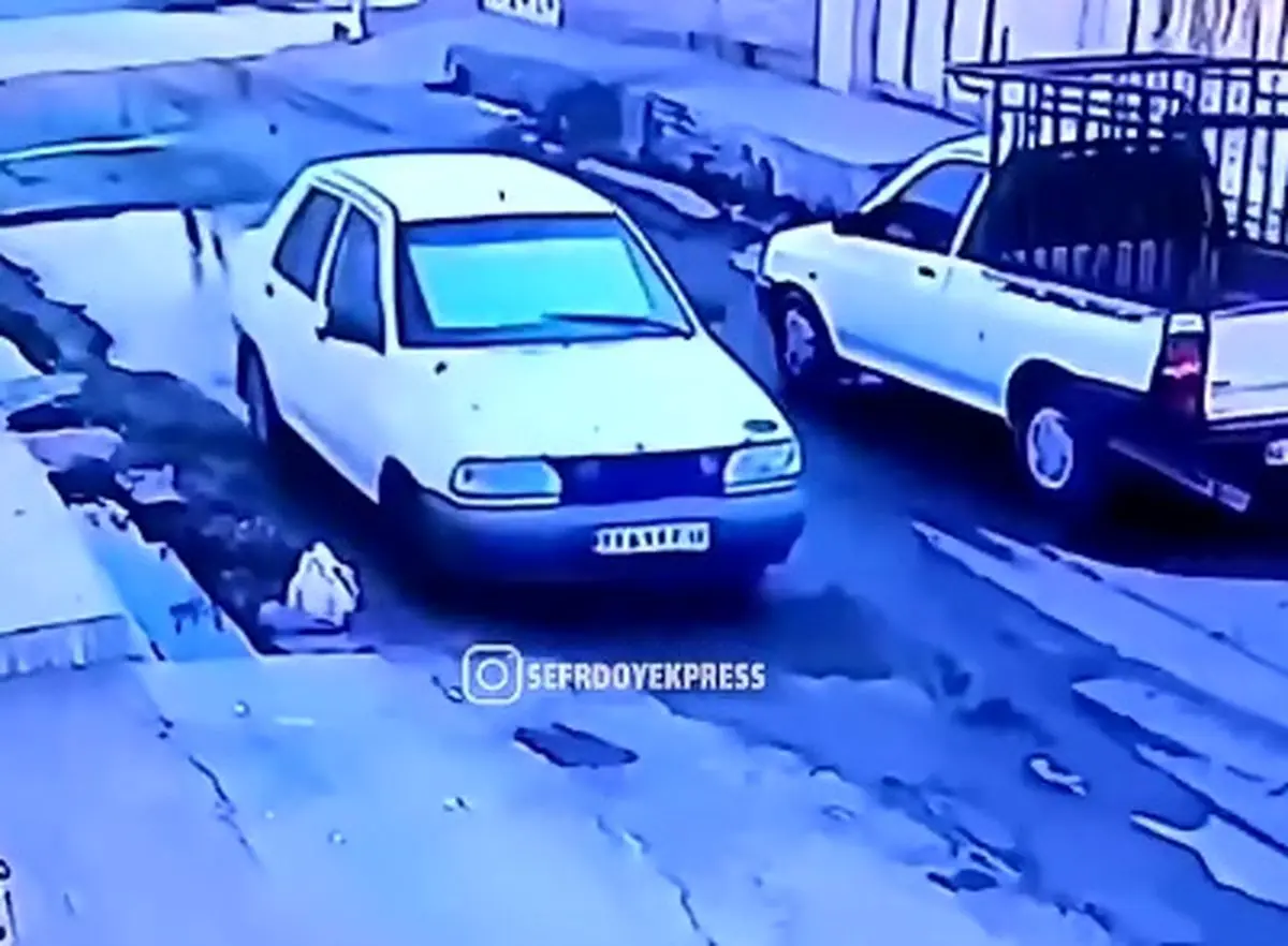 سرقت به عنف از یک خانم مسن در کوی چمران درویشیه اهواز + فیلم