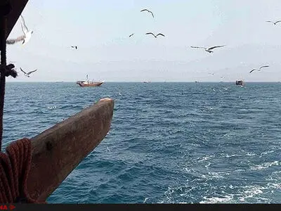 فعالیت ماهیگیران اماراتی در آب‌های کیش متوقف شد/تعدادی از صیادان ایرانی زندانی کشورهای‌عربی‌اند