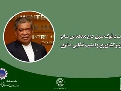 وحدت اسلامی شعار نیست؛ باید به اقدام عملی و هماهنگ تبدیل شود