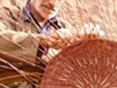 بیش از ۵میلیارد ریال اعتبار به مشاغل خانگی سروآباد اختصاص یافت
