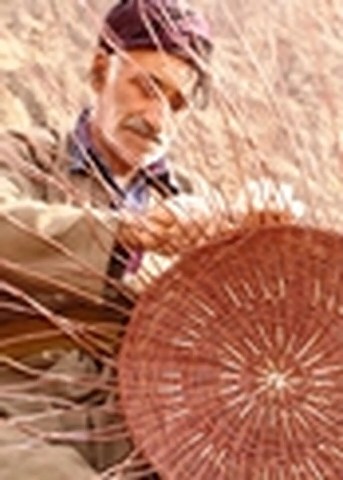 بیش از ۵میلیارد ریال اعتبار به مشاغل خانگی سروآباد اختصاص یافت