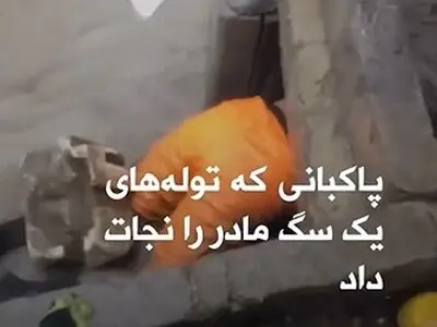 اقدام تحسین برانگیز یک پاکبان در بروجرد + فیلم