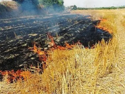 ممنوعیت آتش زدن کاه و کلش پس از برداشت محصول برنج در گیلان