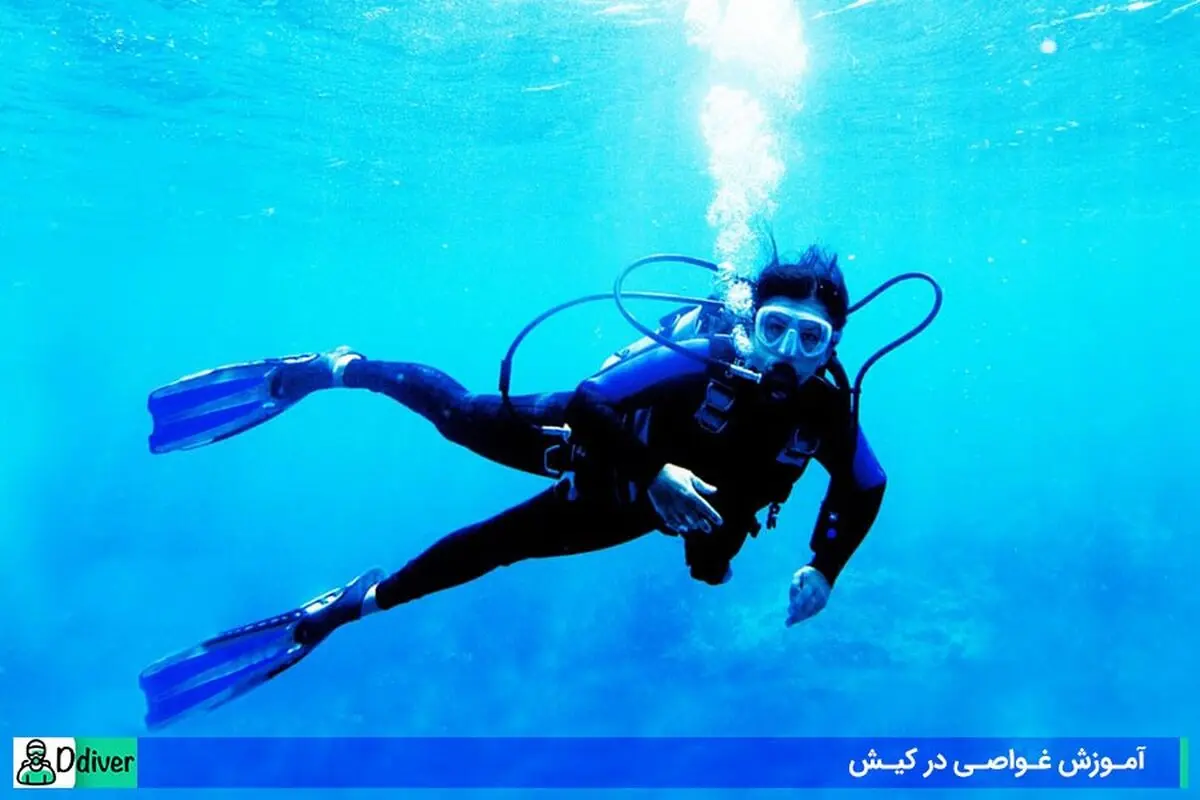 آموزش غواصی در کیش - اساتید مطرح غواصی